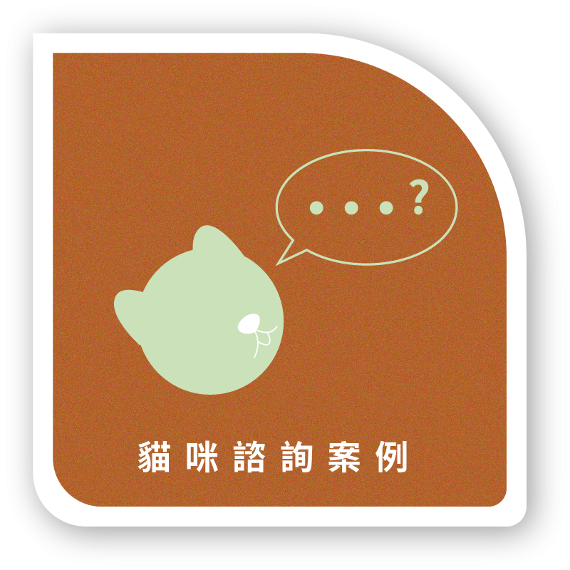 貓咪諮詢案例