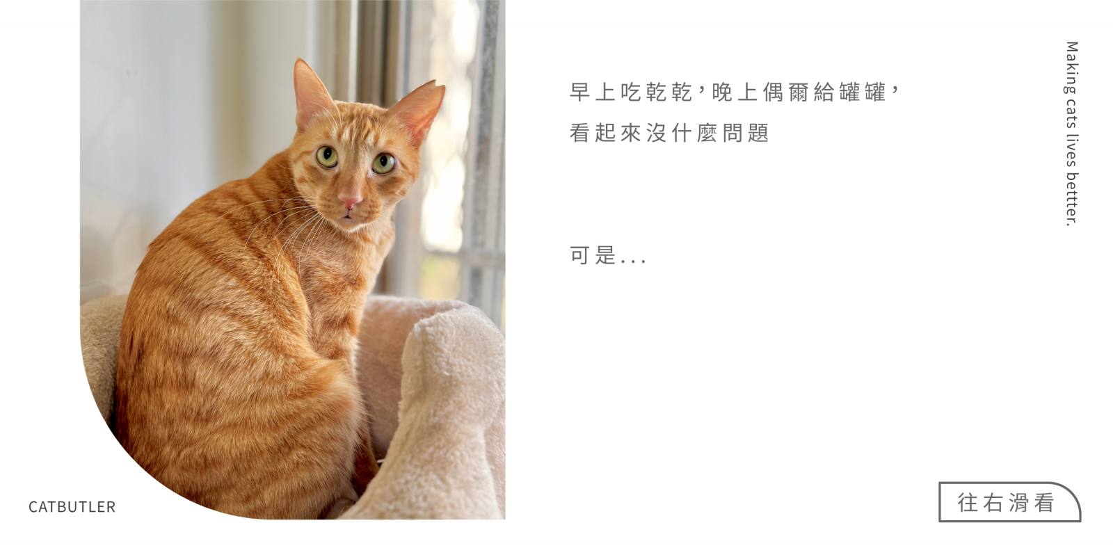 轉食的必要性1