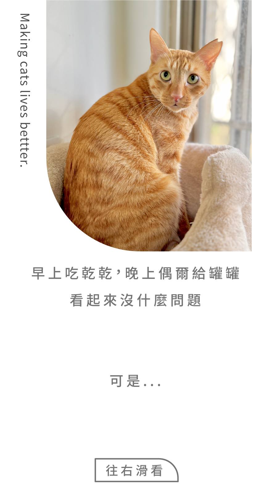 轉食的必要性1