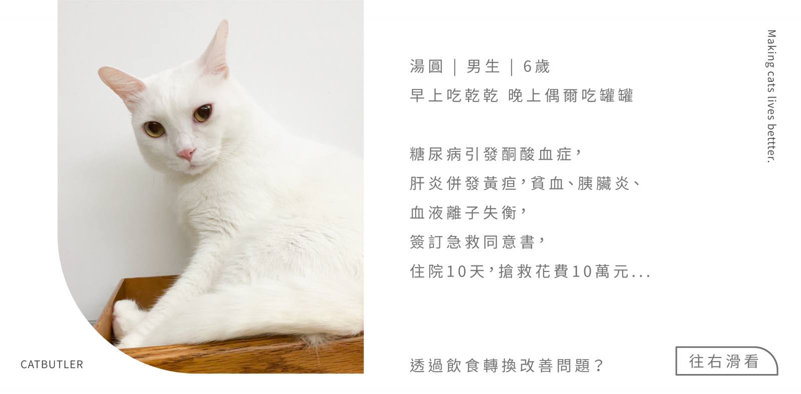 轉食的必要性2