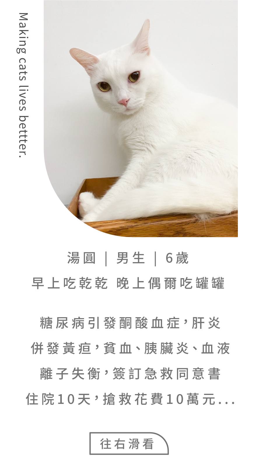 轉食的必要性2