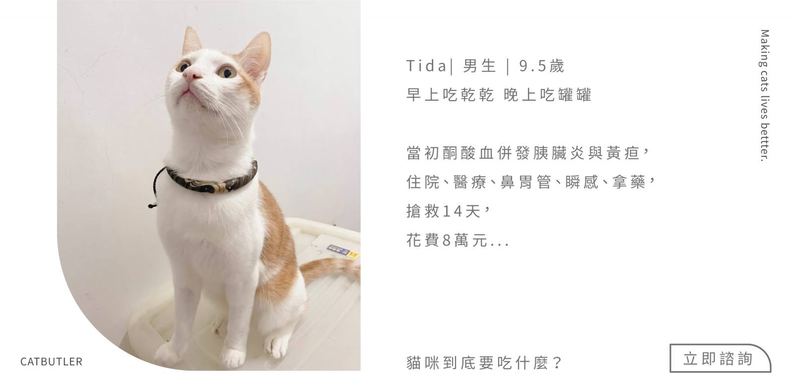 轉食的必要性3