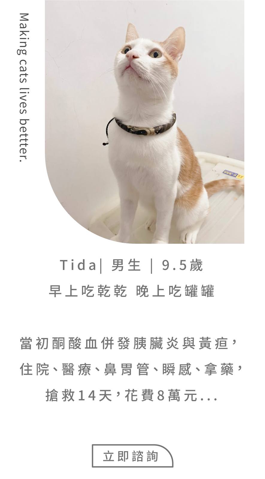 轉食的必要性3